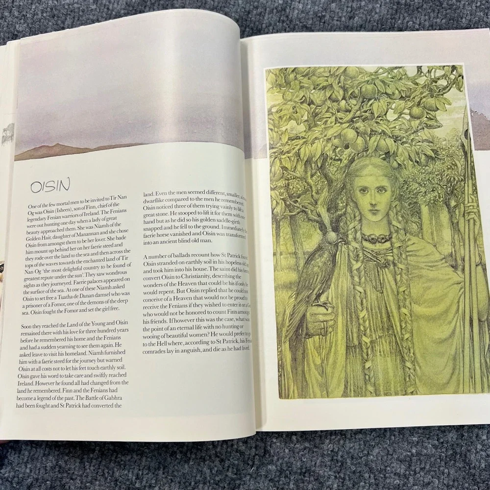 Harry N. Abrams Faeries Paper Back Book 1978 Brian Froud Alan Lee Fantasy Art